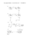 CLEAVABLE CELLULOSIC SPONGE DEVELOPMENT FOR 3 DIMENSIONAL CELL CULTURE AND     SPHEROIDS RETRIEVAL diagram and image