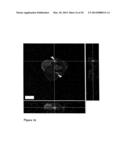 CLEAVABLE CELLULOSIC SPONGE DEVELOPMENT FOR 3 DIMENSIONAL CELL CULTURE AND     SPHEROIDS RETRIEVAL diagram and image