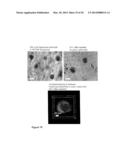 CLEAVABLE CELLULOSIC SPONGE DEVELOPMENT FOR 3 DIMENSIONAL CELL CULTURE AND     SPHEROIDS RETRIEVAL diagram and image