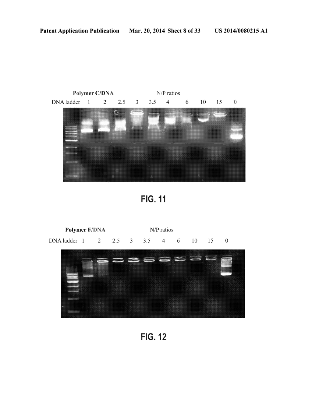 BRANCHED POLYAMINES FOR DELIVERY OF BIOLOGICALLY ACTIVE MATERIALS - diagram, schematic, and image 09