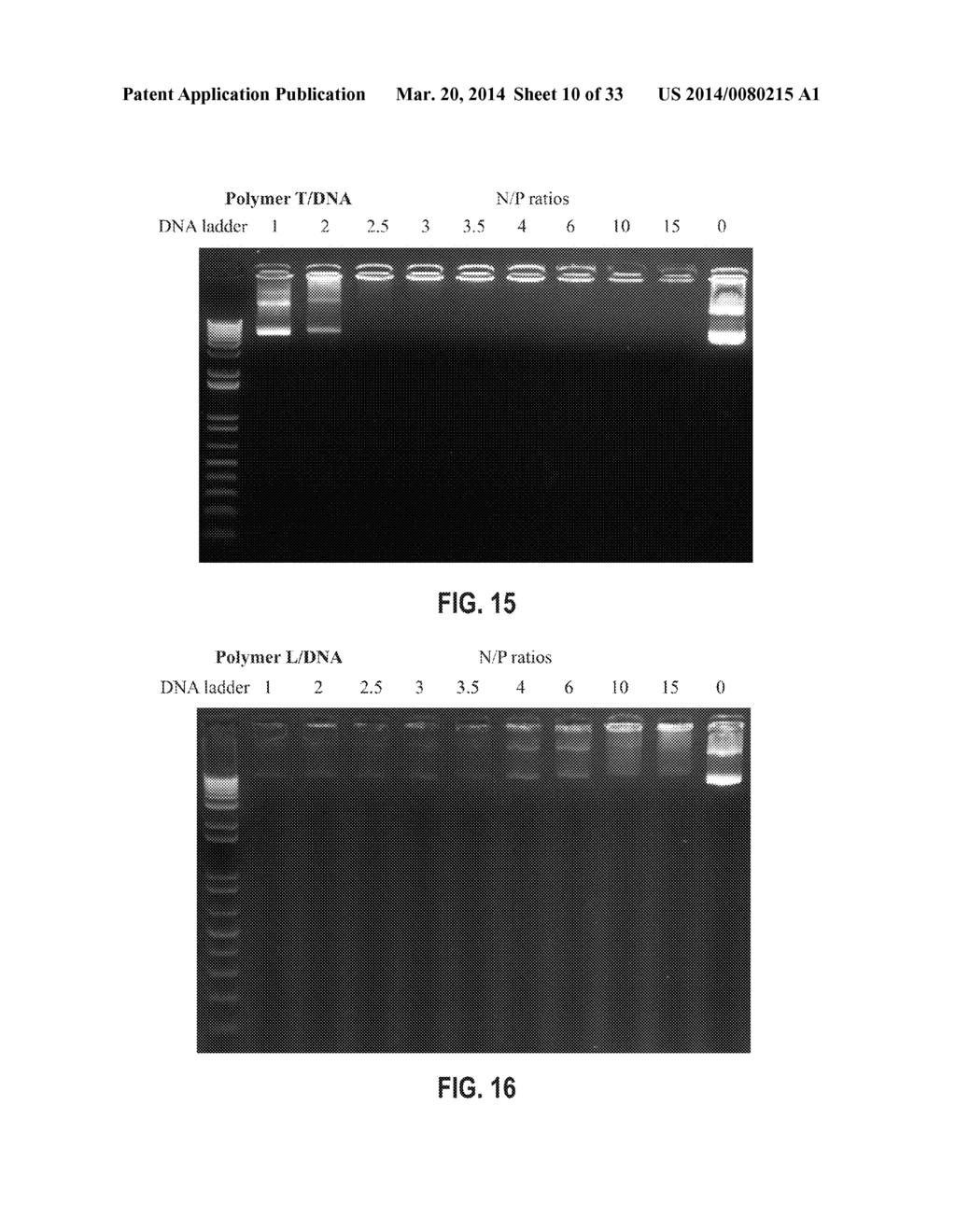 BRANCHED POLYAMINES FOR DELIVERY OF BIOLOGICALLY ACTIVE MATERIALS - diagram, schematic, and image 11