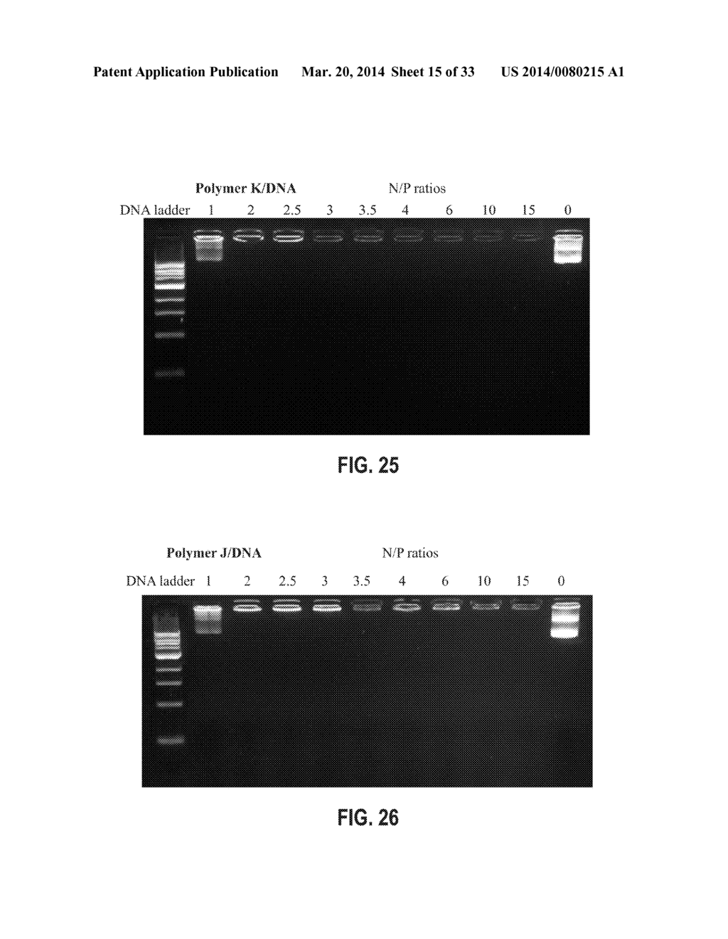 BRANCHED POLYAMINES FOR DELIVERY OF BIOLOGICALLY ACTIVE MATERIALS - diagram, schematic, and image 16