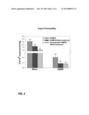 POROUS MEMBRANE BASED ON A POLYMER-FILLED FIBROUS STRUCTURE diagram and image