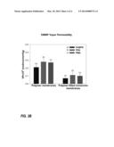 POROUS MEMBRANE BASED ON A POLYMER-FILLED FIBROUS STRUCTURE diagram and image