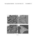 COMPOSITIONS AND METHODS FOR DOUBLE ENCAPSULATION OF A VOLATILE COMPOUND diagram and image