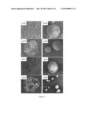 COMPOSITIONS AND METHODS FOR DOUBLE ENCAPSULATION OF A VOLATILE COMPOUND diagram and image