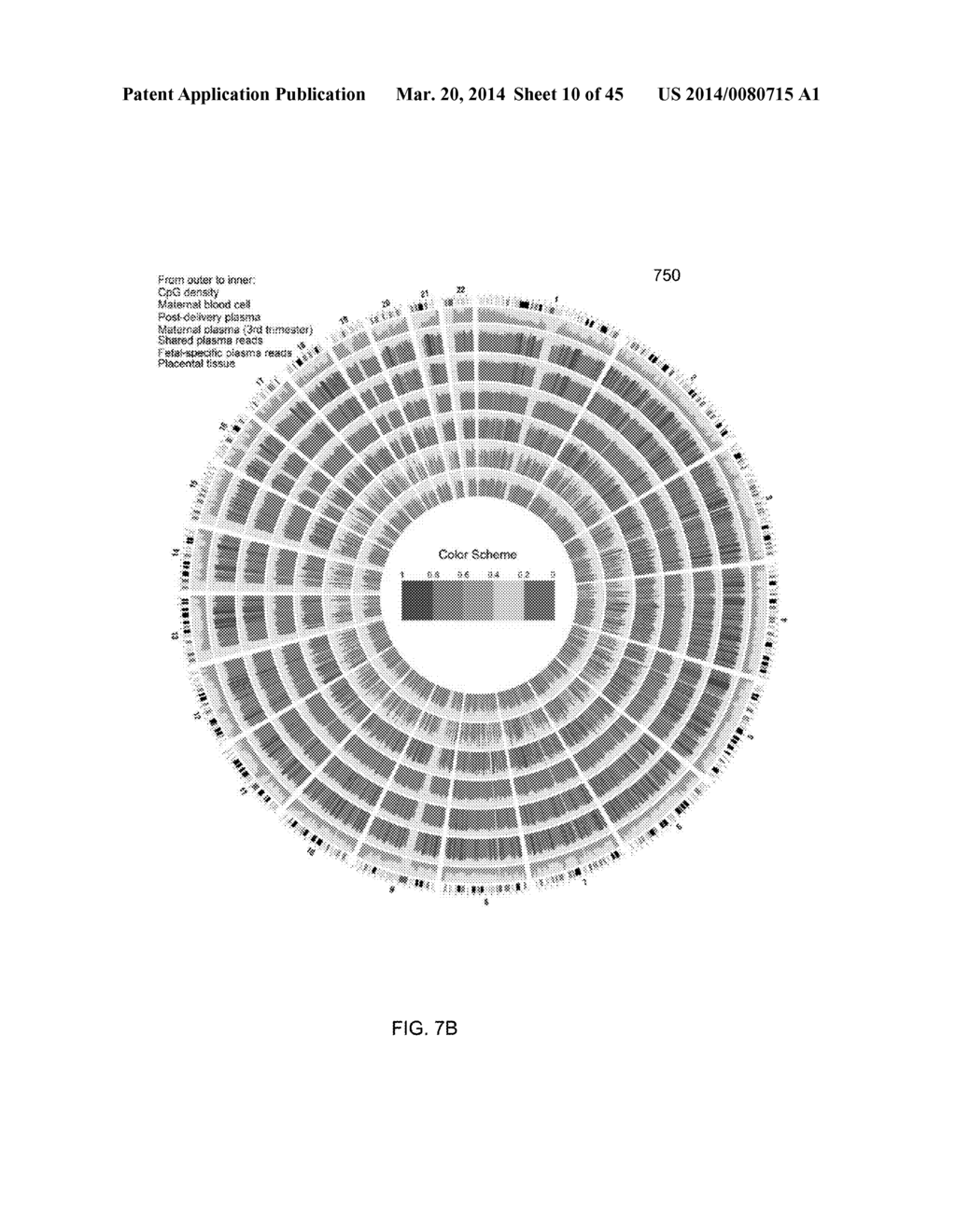 NON-INVASIVE DETERMINATION OF METHYLOME OF FETUS OR TUMOR FROM PLASMA - diagram, schematic, and image 11