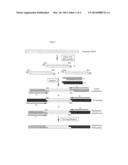 Complexity Management of Genomic DNA diagram and image