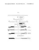 Complexity Management of Genomic DNA diagram and image