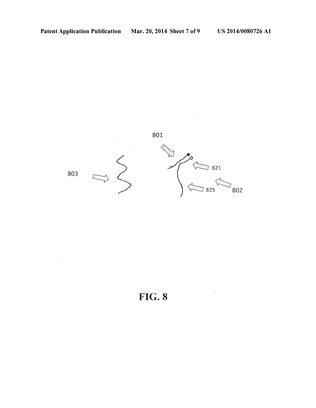 ENHANCED METHOD FOR PROBE BASED DETECTION OF NUCLEIC ACIDS - diagram, schematic, and image 08