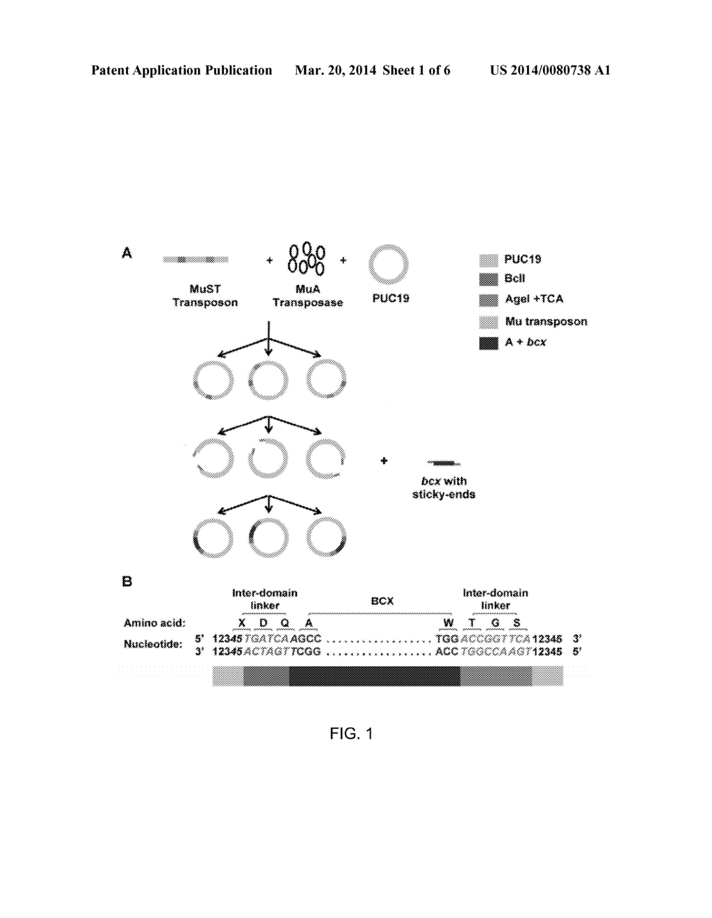 ENGINEERED TRANSPOSON FOR FACILE CONSTRUCTION OF A RANDOM PROTEIN DOMAIN     INSERTION LIBRARY - diagram, schematic, and image 02