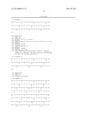 GLUCAGON ANALOGUES diagram and image