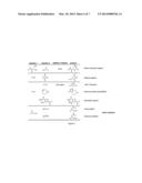 COMPOSITIONS AND METHODS FOR MACROMOLECULAR DRUG DELIVERY diagram and image