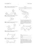 MOLECULAR MODULATORS OF THE WNT/BETA-CATENIN PATHWAY diagram and image