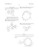 MOLECULAR MODULATORS OF THE WNT/BETA-CATENIN PATHWAY diagram and image