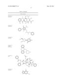 MOLECULAR MODULATORS OF THE WNT/BETA-CATENIN PATHWAY diagram and image