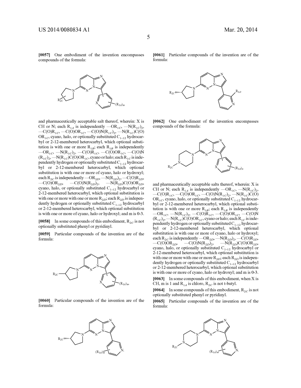 INHIBITION OF ADAPTOR ASSOCIATED KINASE 1 FOR THE TREATMENT OF PAIN - diagram, schematic, and image 07