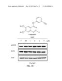 ARYL AMINE SUBSTITUTED PYRIMIDINE AND QUINAZOLINE AND THEIR USE AS     ANTICANER DRUGS diagram and image