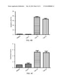 ARYL AMINE SUBSTITUTED PYRIMIDINE AND QUINAZOLINE AND THEIR USE AS     ANTICANER DRUGS diagram and image