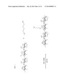 HYALURONIC ACID-NUCLEIC ACID CONJUGATE AND COMPOSITION FOR NUCLEIC ACID     DELIVERY CONTAINING THE SAME diagram and image