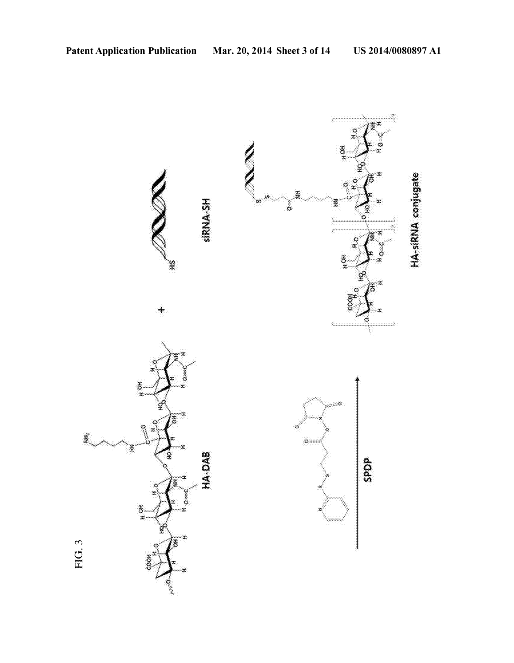HYALURONIC ACID-NUCLEIC ACID CONJUGATE AND COMPOSITION FOR NUCLEIC ACID     DELIVERY CONTAINING THE SAME - diagram, schematic, and image 04