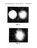 PROCESS FOR PRE-TREATMENT OF A CATALYST SUPPORT AND CATALYST PREPARED     THEREFROM diagram and image