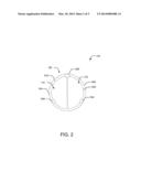 ACCESS DEVICES AND RELATED METHODS OF USE diagram and image