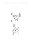 ELECTROPHYSIOLOGICAL DIAGNOSIS AND TREATMENT FOR ASTHMA diagram and image