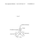 ELECTROPHYSIOLOGICAL DIAGNOSIS AND TREATMENT FOR ASTHMA diagram and image