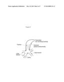 ELECTROPHYSIOLOGICAL DIAGNOSIS AND TREATMENT FOR ASTHMA diagram and image