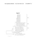 Fungi and Products Thereof diagram and image