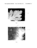 METHODS FOR INDIVIDUALIZING TRICHOMES diagram and image