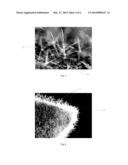 METHODS FOR INDIVIDUALIZING TRICHOMES diagram and image