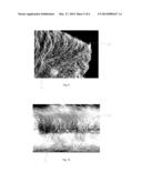 METHODS FOR INDIVIDUALIZING TRICHOMES diagram and image