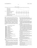 CONDUCTIVE MATERIAL AND CONNECTION STRUCTURE diagram and image