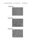 Formation Of Laser Induced Periodic Surface Structures (LIPSS) With     Picosecond Pulses diagram and image