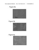 Formation Of Laser Induced Periodic Surface Structures (LIPSS) With     Picosecond Pulses diagram and image