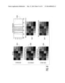 PROGRAMMABLE SPECTRAL SOURCE AND DESIGN TOOL FOR 3D IMAGING USING     COMPLEMENTARY BANDPASS FILTERS diagram and image