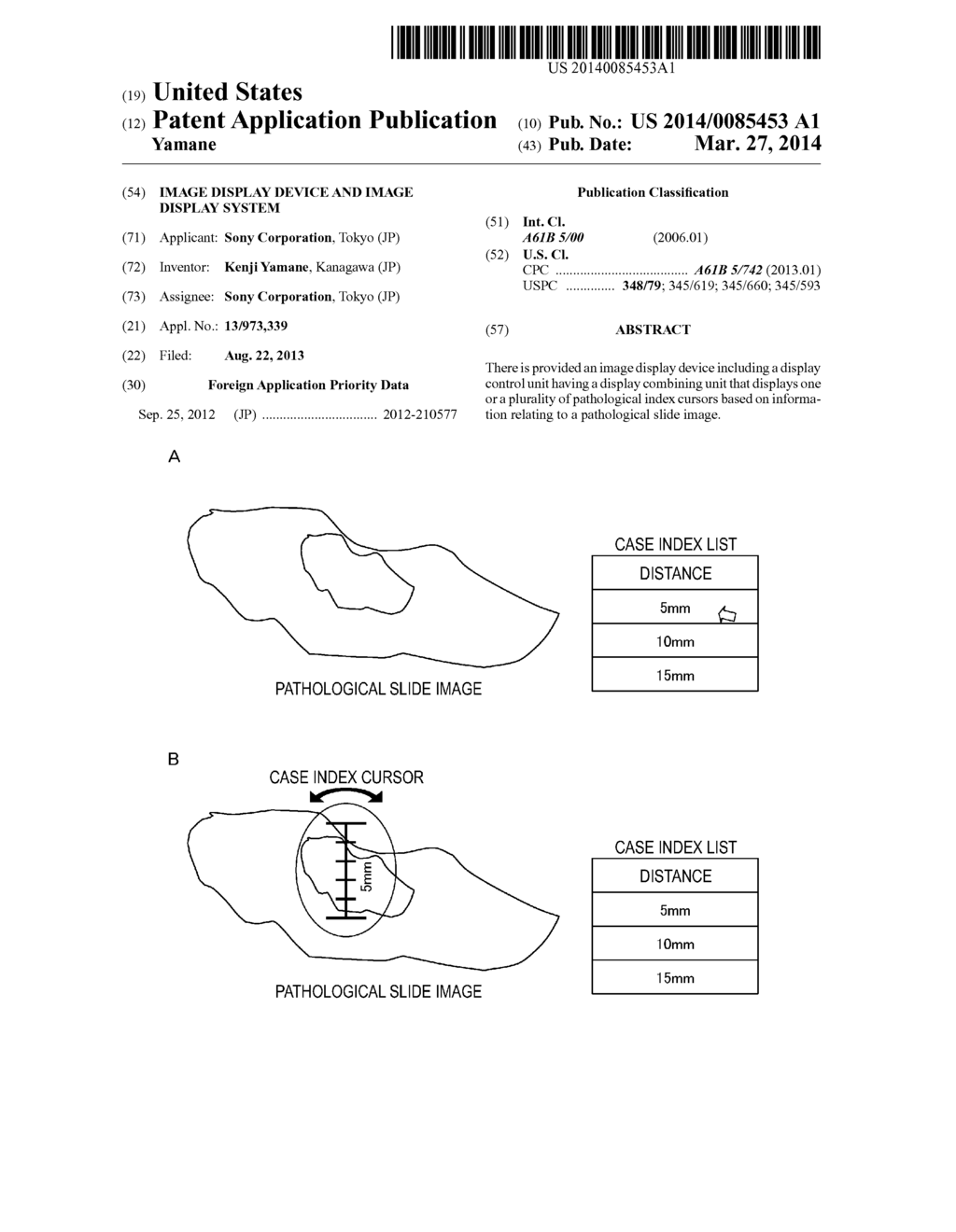 IMAGE DISPLAY DEVICE AND IMAGE DISPLAY SYSTEM - diagram, schematic, and image 01