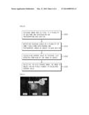 CAMERA MODULE AND METHOD FOR DRIVING THE SAME diagram and image