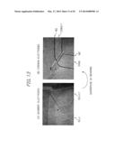 CHARACTER TYPE VERTICAL ALIGNMENT MODE LIQUID CRYSTAL DISPLAY DEVICE WITH     WALL LAYERS diagram and image