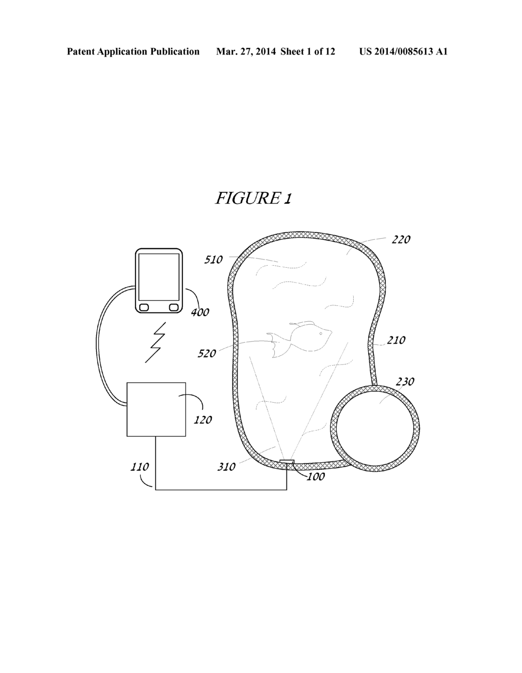 UNDERWATER IMAGE PROJECTION CONTROLLER WITH BOUNDARY SETTING AND IMAGE     CORRECTION MODULES AND INTERFACE AND METHOD OF USING SAME - diagram, schematic, and image 02