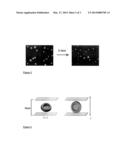 REACTIVE MESOGEN BASED POLYMER PARTICLES diagram and image