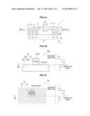 WAVELENGTH CONVERSION ELEMENT AND MANUFACTURING METHOD THEREOF diagram and image