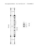 MODULAR LED LIGHTING SYSTEMS, INCLUDING FLEXIBLE, RIGID, AND WATERPROOF     LIGHTING STRIPS AND CONNECTORS diagram and image