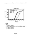 SCREENING METHODS USING G-PROTEIN COUPLED RECEPTORS AND RELATED     COMPOSITIONS diagram and image