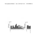 SCREENING METHODS USING G-PROTEIN COUPLED RECEPTORS AND RELATED     COMPOSITIONS diagram and image