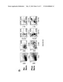 METHOD FOR IMAGING A SITE OF ARTHRITIS IN AN ANIMAL diagram and image