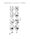 METHOD FOR IMAGING A SITE OF ARTHRITIS IN AN ANIMAL diagram and image