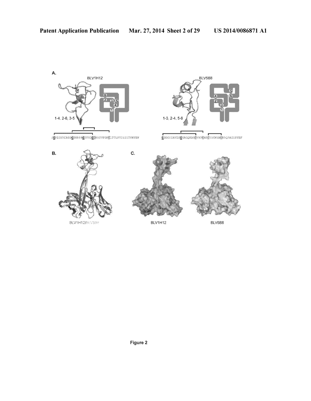 ULTRALONG COMPLEMENTARITY DETERMINING REGIONS AND USES THEREOF - diagram, schematic, and image 03